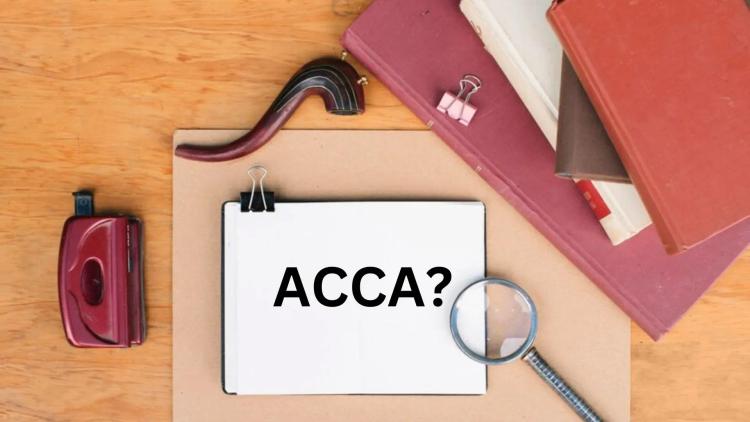 Career Paths for ACCA Professionals
