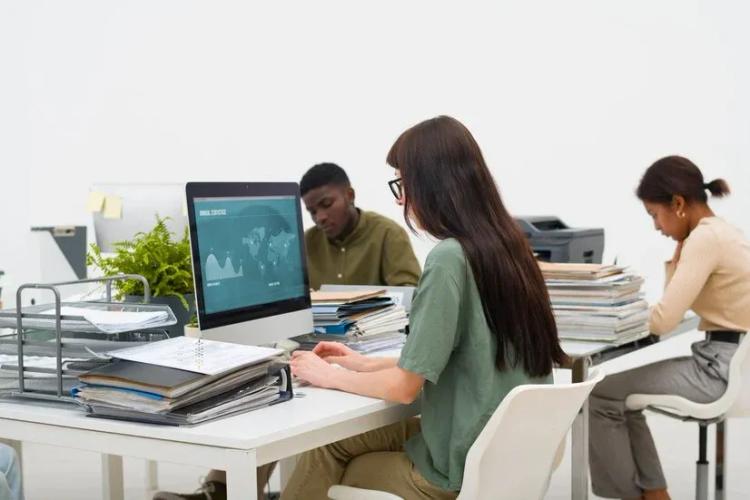 Degree Courses in the Field of Data Science