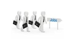 Amity Online Degrees and a Jobs After 12th Grade