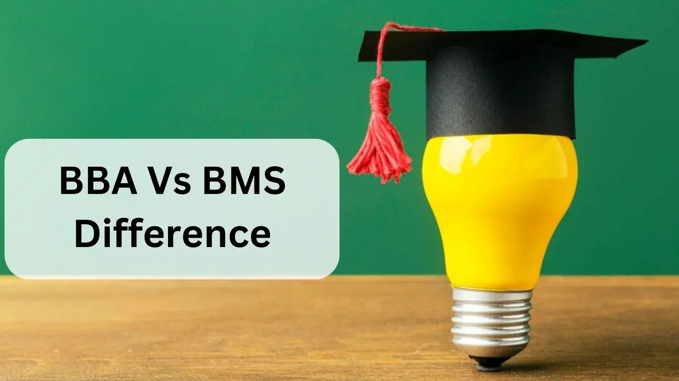 BBA Vs BMS Difference