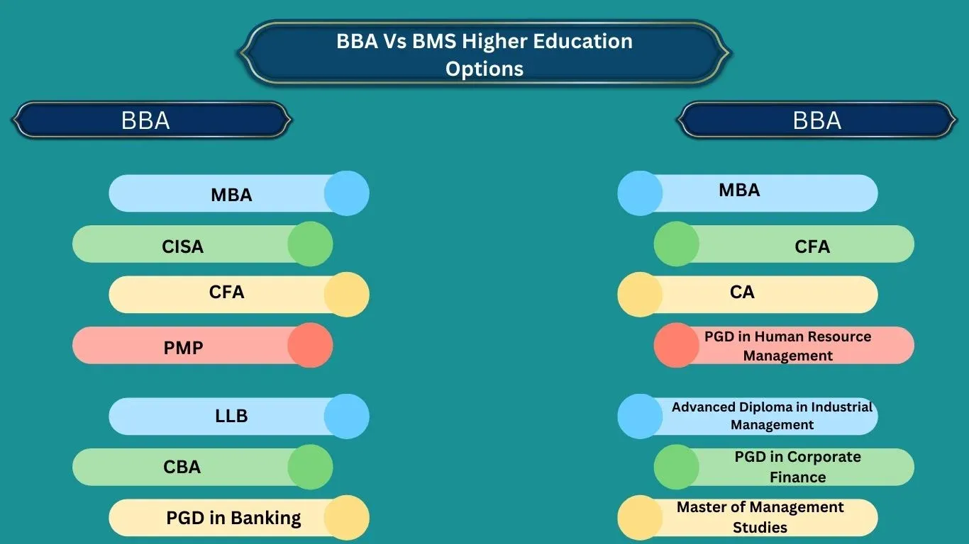 BBA Vs BMS Higher Education Options