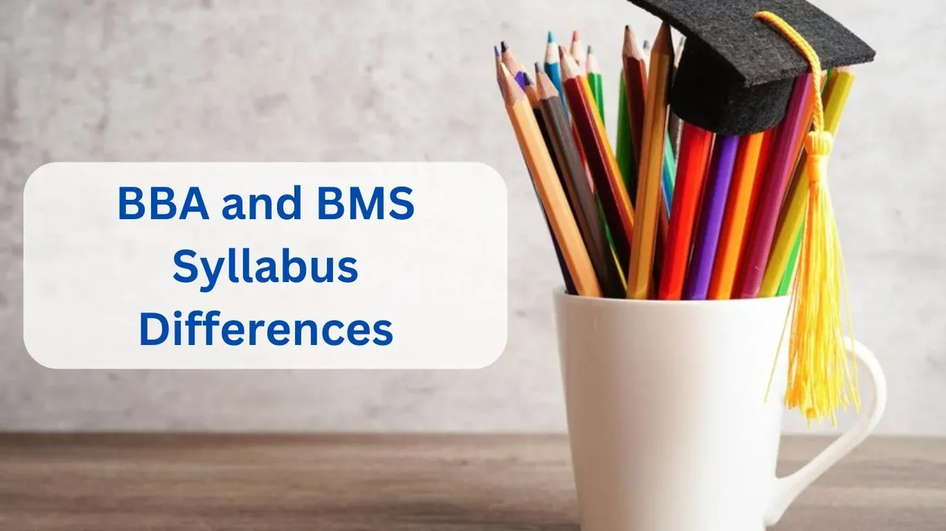 BBA and BMS Syllabus Differences