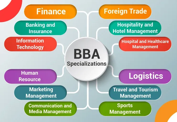 Choosing the Right Online BBA Course