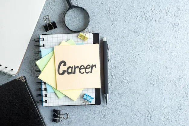 High-Paying Career Options After BBA