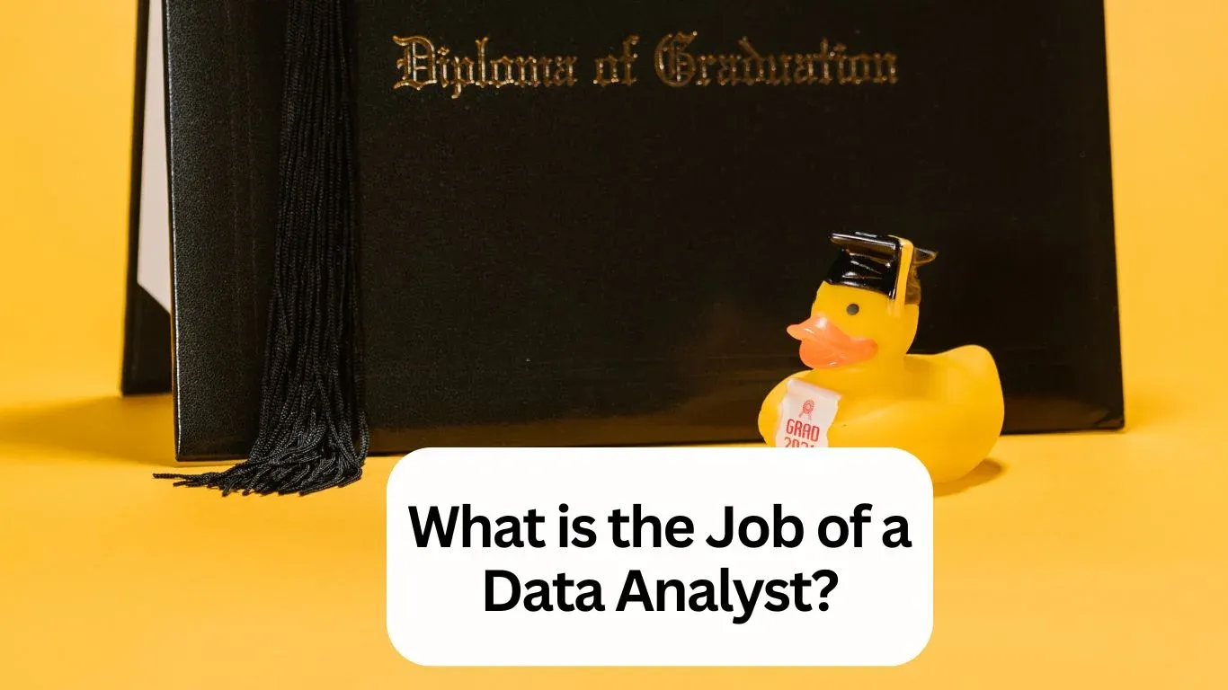 Job of a Data Analyst