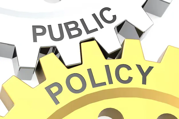 What is Public Policy and Governance