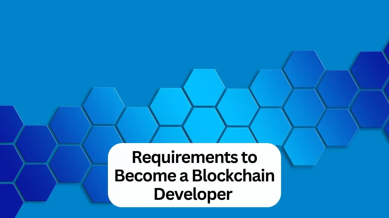 blockchain developers need 