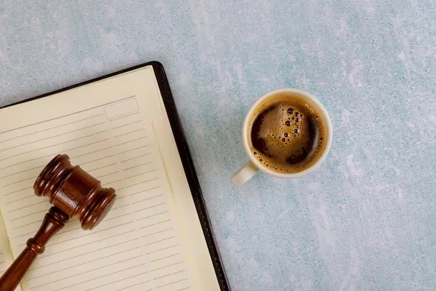 Legal internship for law students